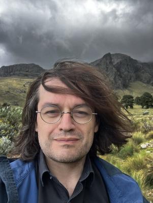 Disposición Asoleada